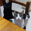 Johan Largo González