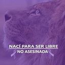 Kary Nakhari Kay Pietronave