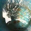 Nestor Alexander Perez Torres