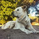 Valeria López Amaya