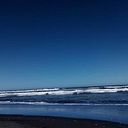 Ingrid Santelices Muñoz