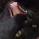 Diana Calderón Pérez