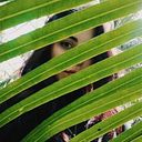 Marialena Evrenoglou