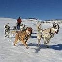 Hernan Alejandro Cipriani