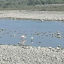 Oswaldo Zarate Coaguila