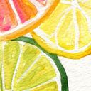 Claudia Ramirez Hernández