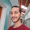 Vitor Hugo Moreira de Araujo