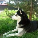 Angelikija Anakijeva