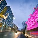 Laura Carrillo Acosta