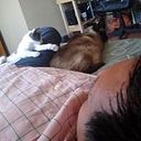 Luis Guillermo Olivares Rivas