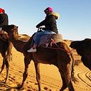 Pamela Painemilla Campos