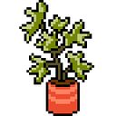 Alejandro Paredes Zamora