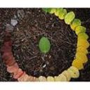 Carla Juny Soares Azevedo