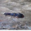 Mónica Tapia Espinoza