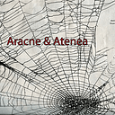 aracnesoftwareid