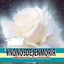 Patricia Abarca Vela