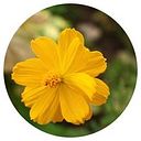 María Rodríguez Alonso