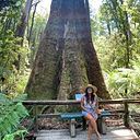 Andrea P. San Martín