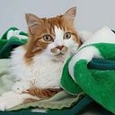 Gloria Amparo Arango Acevedo