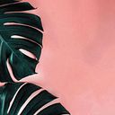 Tamara Maria Cardoso Ammirante