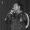 Panther O Resistente