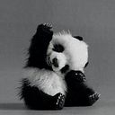 Jesús Mallo Velasco