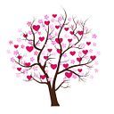 Ana Jesús Olaya Cuenca