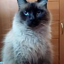 Laura Alejandra Hernández López