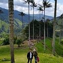 José Miguel Manrique Hernández