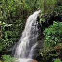 José Roberto De Góes