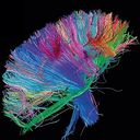 Hugo Gutierrez Gavilan