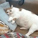 Juanes Montoya Gomez