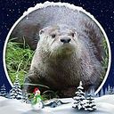 Karen Pruitt-McFerran