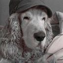 Manel Guimerà Melich