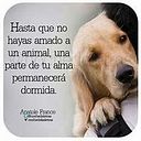 Silvia Cloquell Martinez