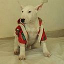 Yoalli Fabian Medina