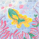 Max Amaury Vite Navarrete