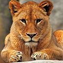 Graciela Sobrino González