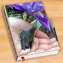 María Escolástica Solís Velásquez