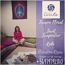 Ricardina Rozas Lizama