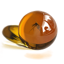 Miguel Angel Domínguez Blanco