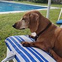 Astrid Jalife Van Pratt