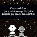 Ameyaly Castro Solano