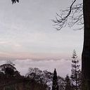 Nora Milagros Couyi Yusti