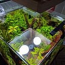 Israel Aguilar Hernandez