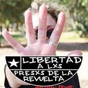 Rulita Ornitorrink