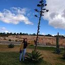 Claudia Hernández Rojas