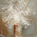 Rosa Angélica Navarro Ayala