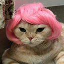 chintiauwu