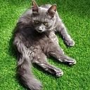 Yolanda Lorenzo Joaquina